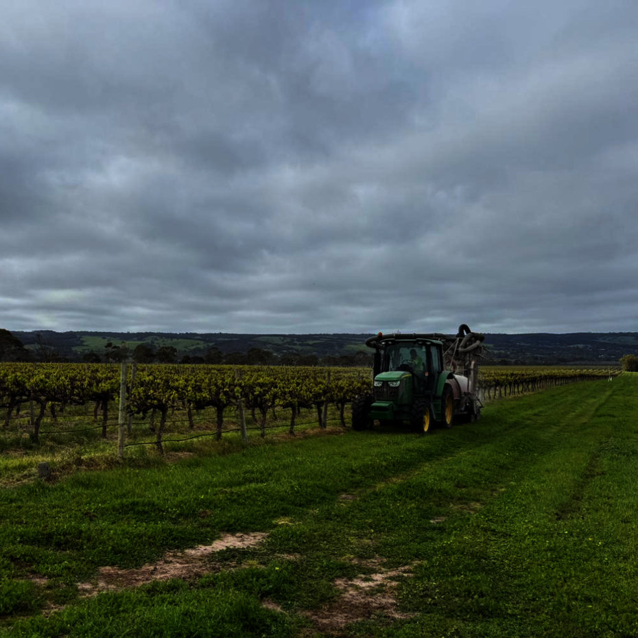 Tractor in a vineyard, spraying Nordox 750WG copper fungicide