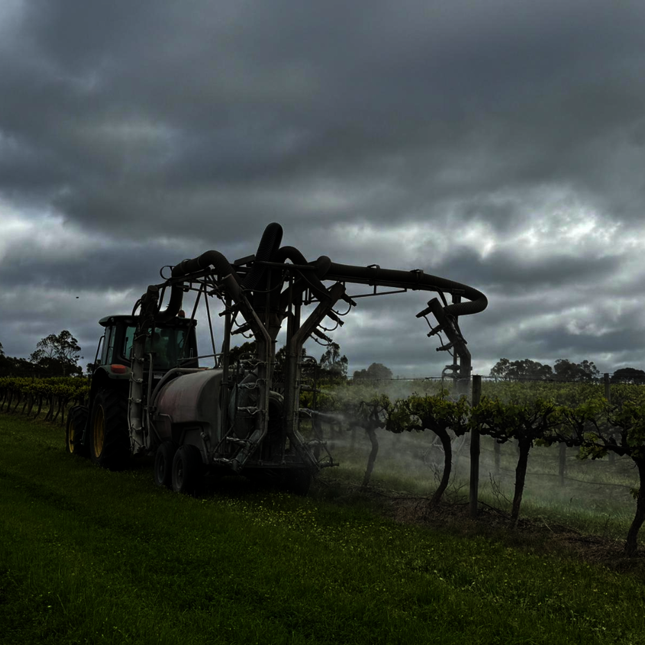 Tractor in a vineyard, spraying Nordox 750WG copper fungicide