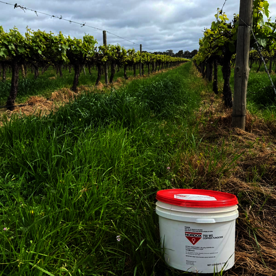 Nordox pail in a vineyard